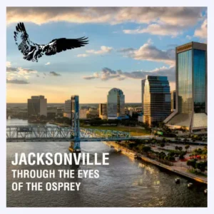 jacksonville-through-the-eyes-of-the-osprey