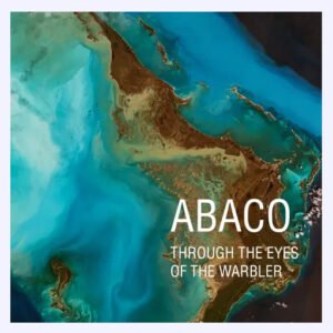 abaco-through-the-eyes-of-the-warbler