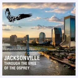 Jacksonville Through the eyes of the osprey